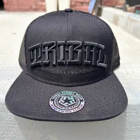 Arched Logo trucker hat (black)