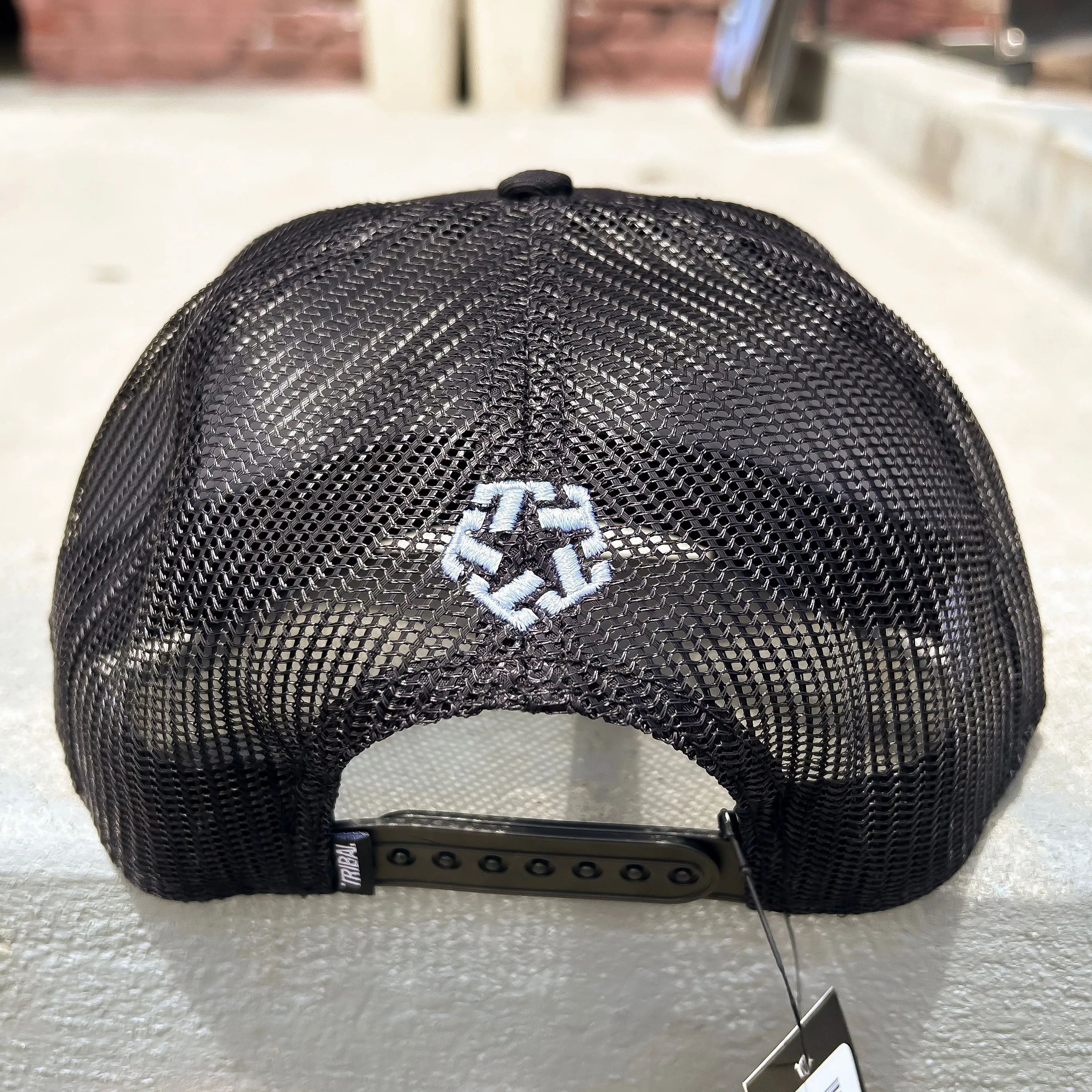 Arched Logo trucker hat (black)