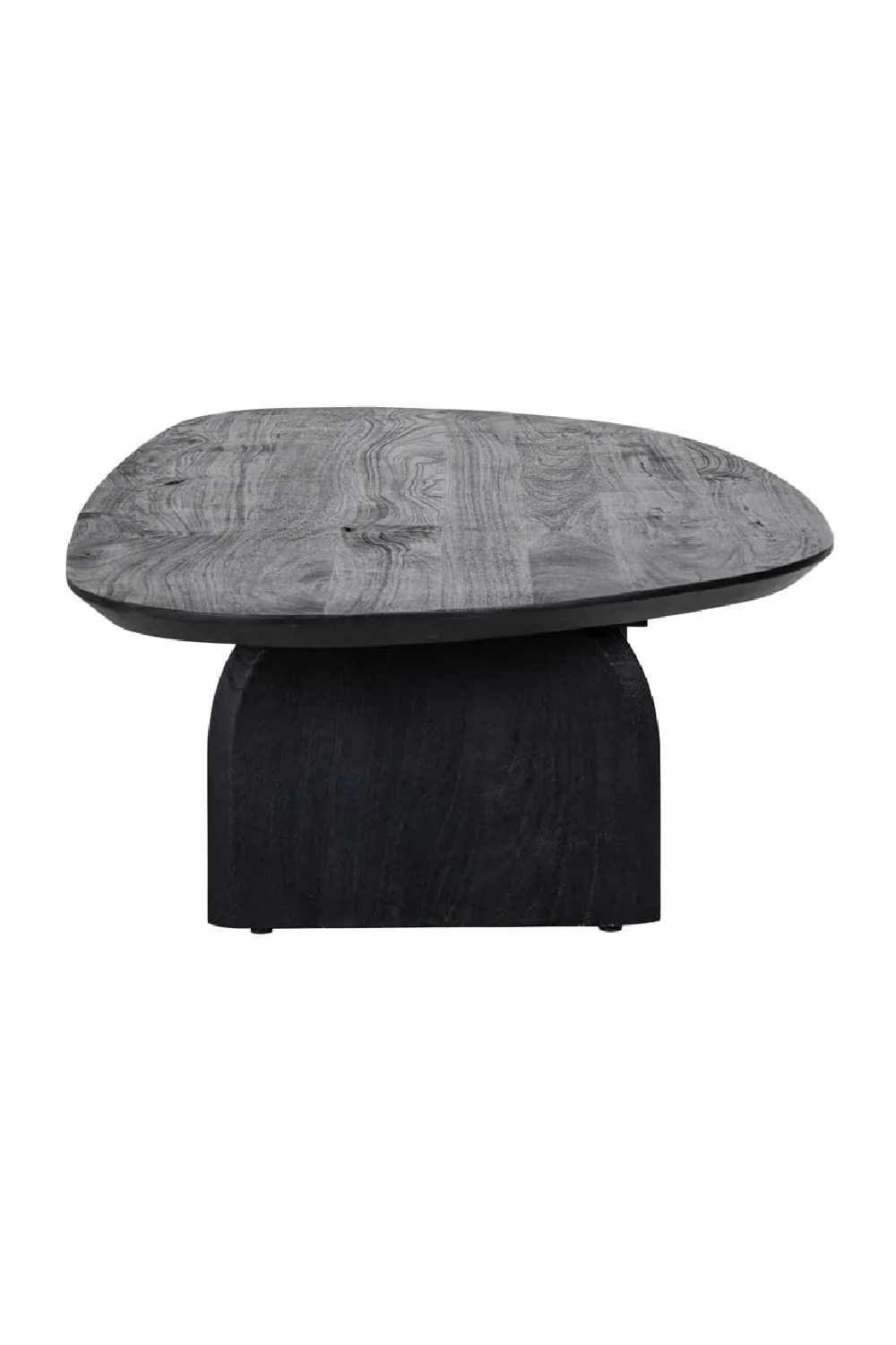 Black Mango Wood Coffee Table | OROA Hudson