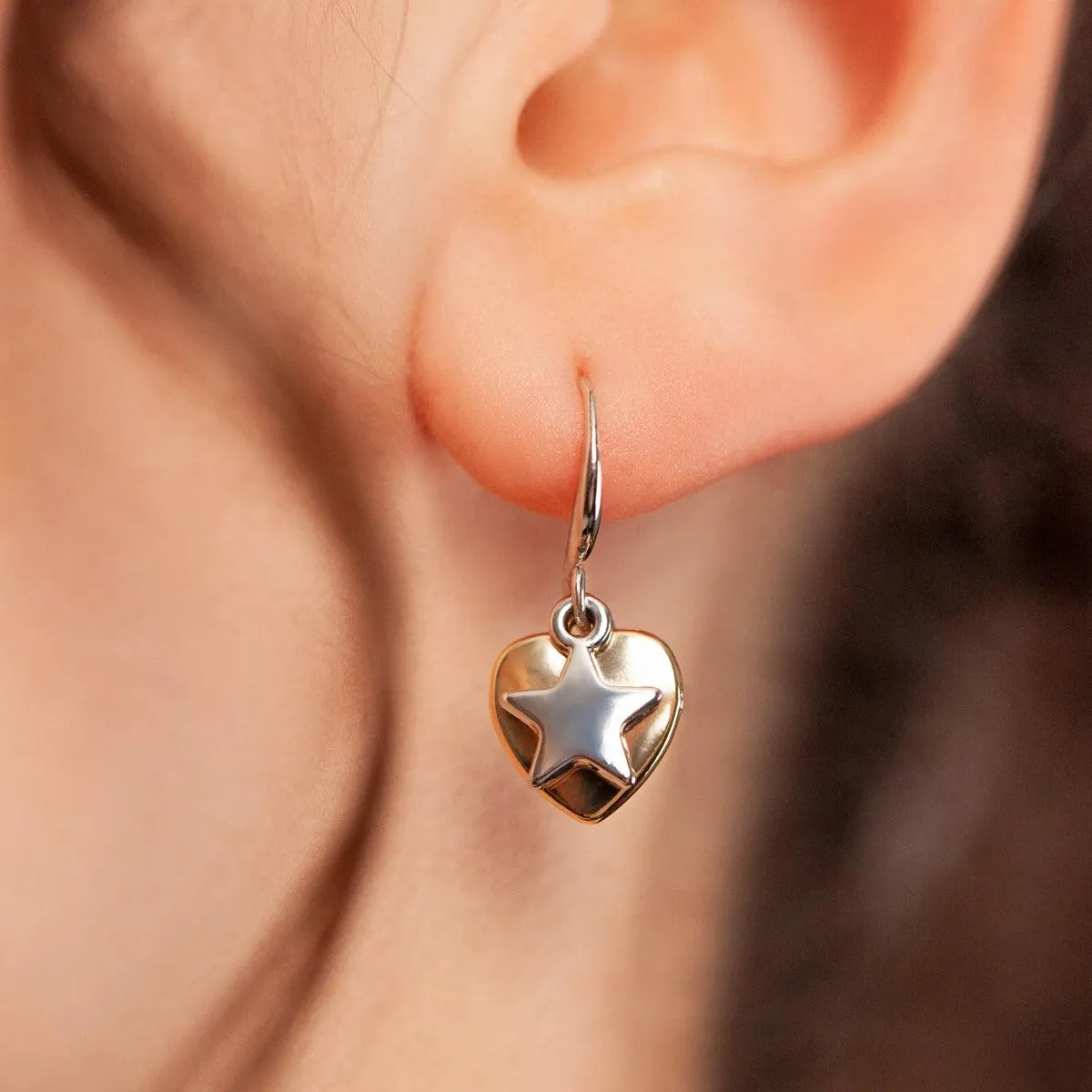 Emily Heart and Star Hook Earrings In Silver & Gold-Tone